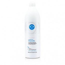 AlfaParf Thermae Spa Mineralis De-Stressing Conditioner 1000ml/33.81oz